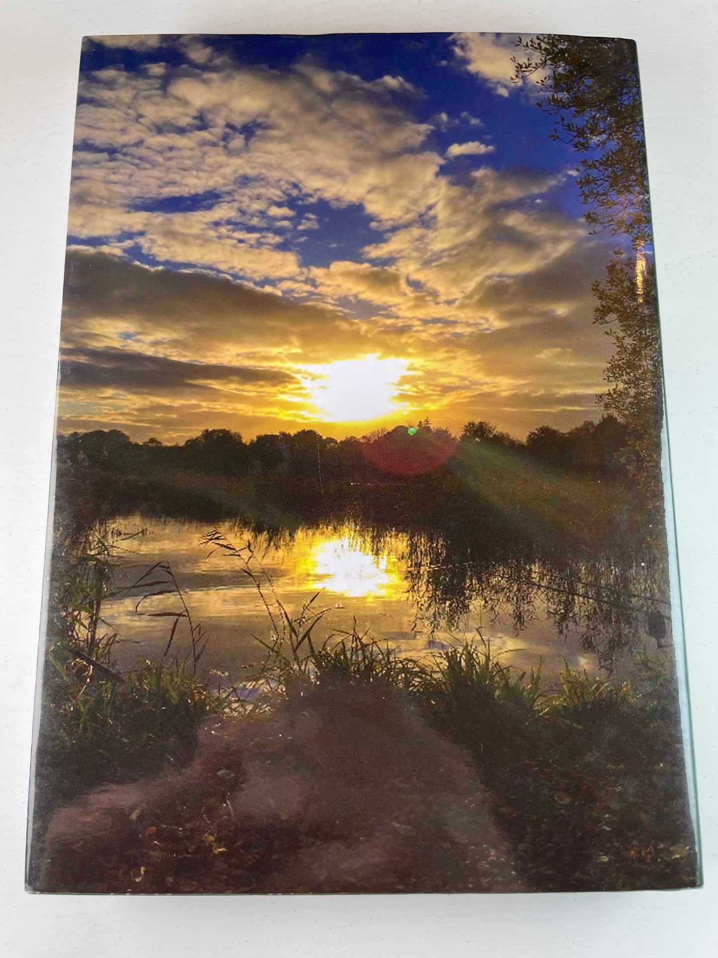 A Lifetime Of Dreams And Memories by Paul Harris. 2017.