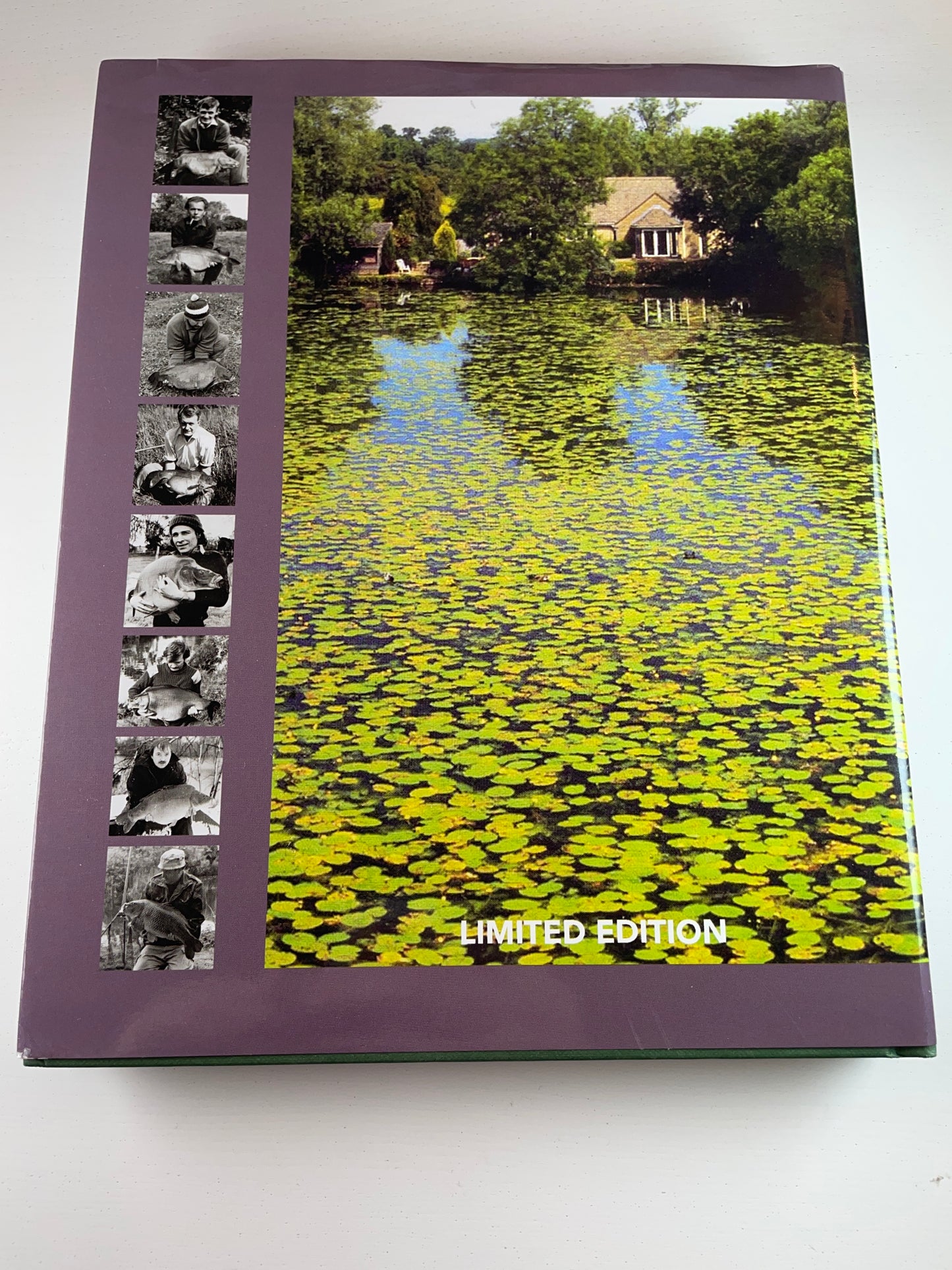 Ashlea Pool by Chris Ball. 2023. Carp Book.