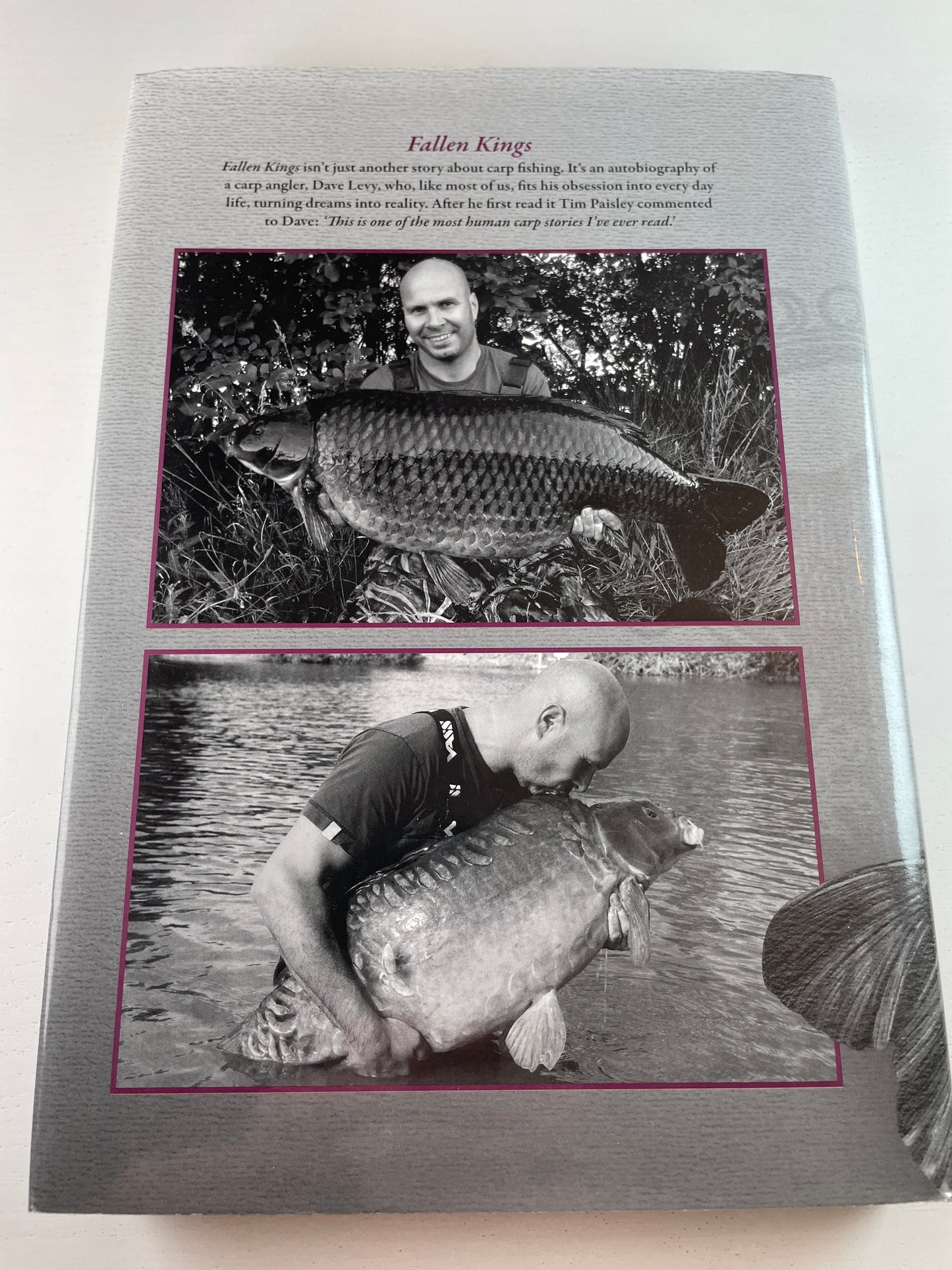 Fallen Kings by Dave Levy. 2015. Carp Book.
