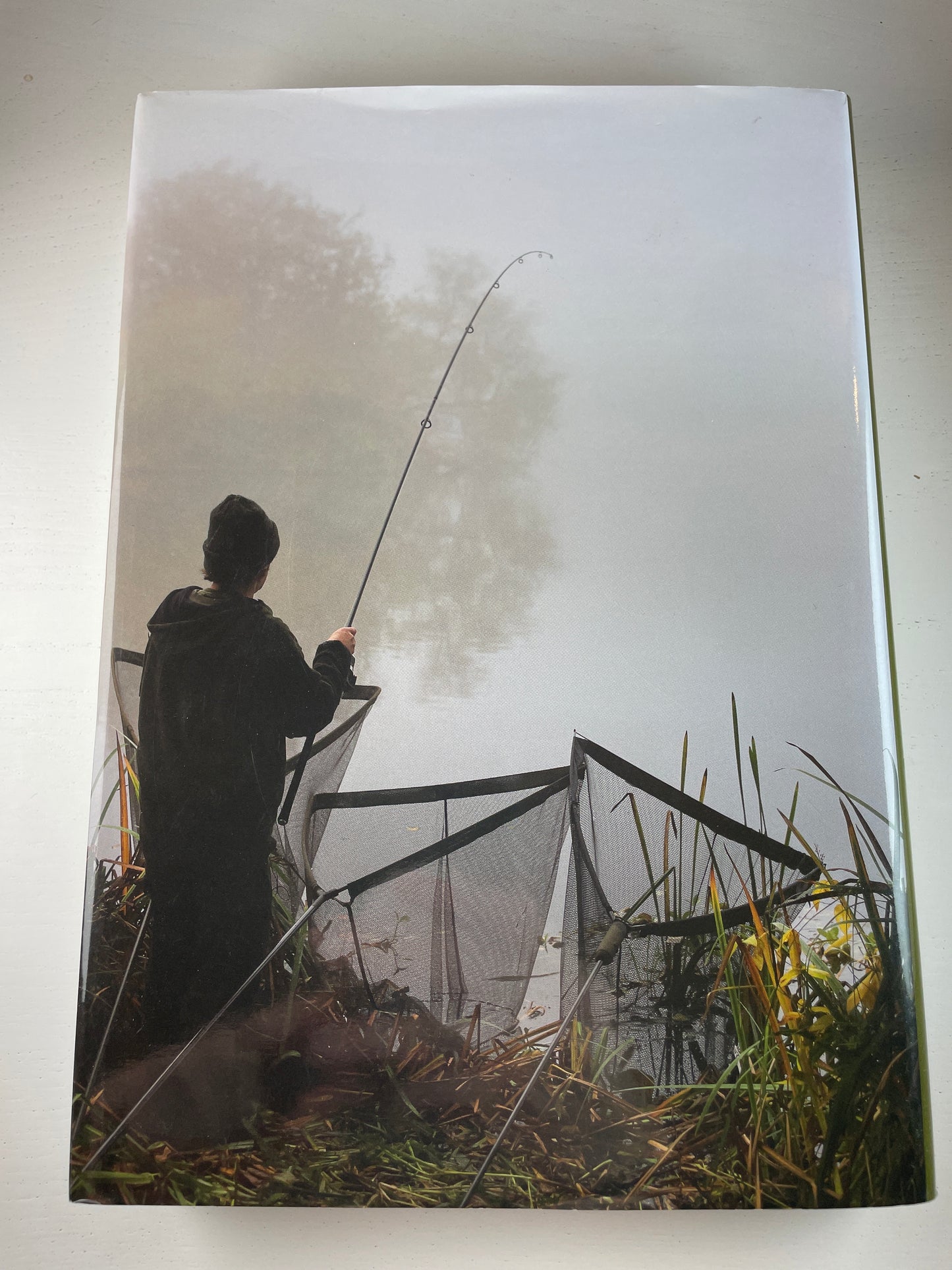 Through The Mist by Terry Hearn. 2020. Carp Book.