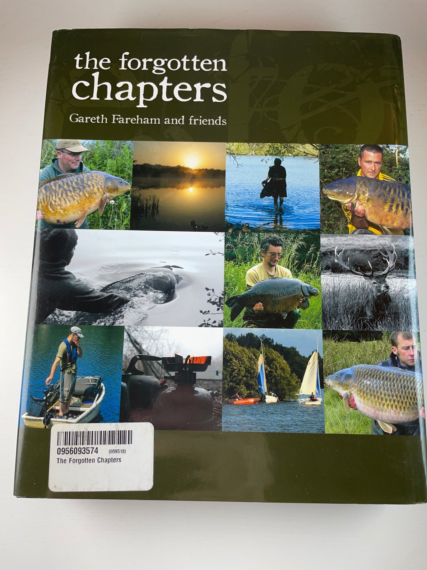 The Forgotten Chapters by Gareth Fareham And Friends. 2010. Carp Book.