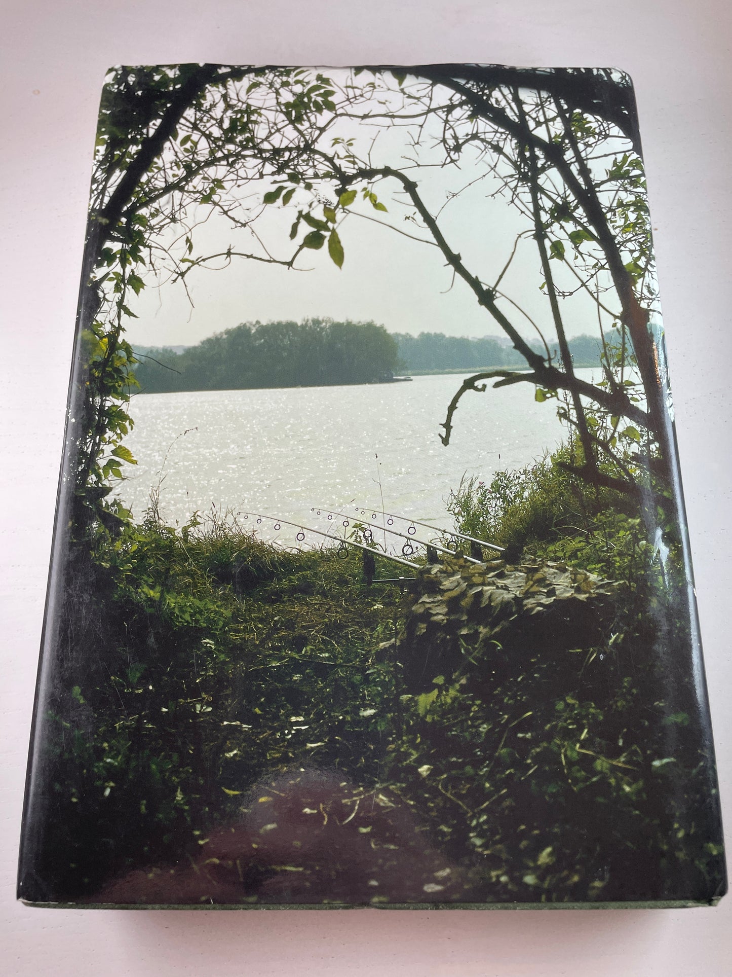 Still Searching by Terry Hearn. 2011. Carp Book.