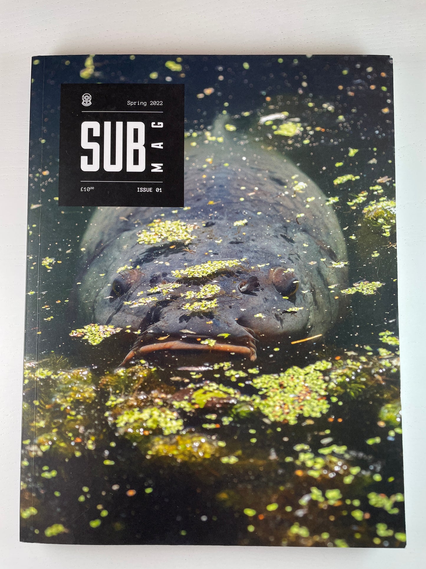Subsurface Mags Issues 1 & 2. 2022. Carp Books.
