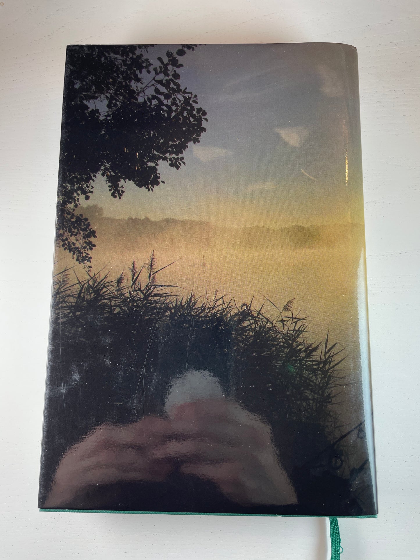 Beyond The Green Gate by Stuart Brookes. 2023. Signed. Carp Book.