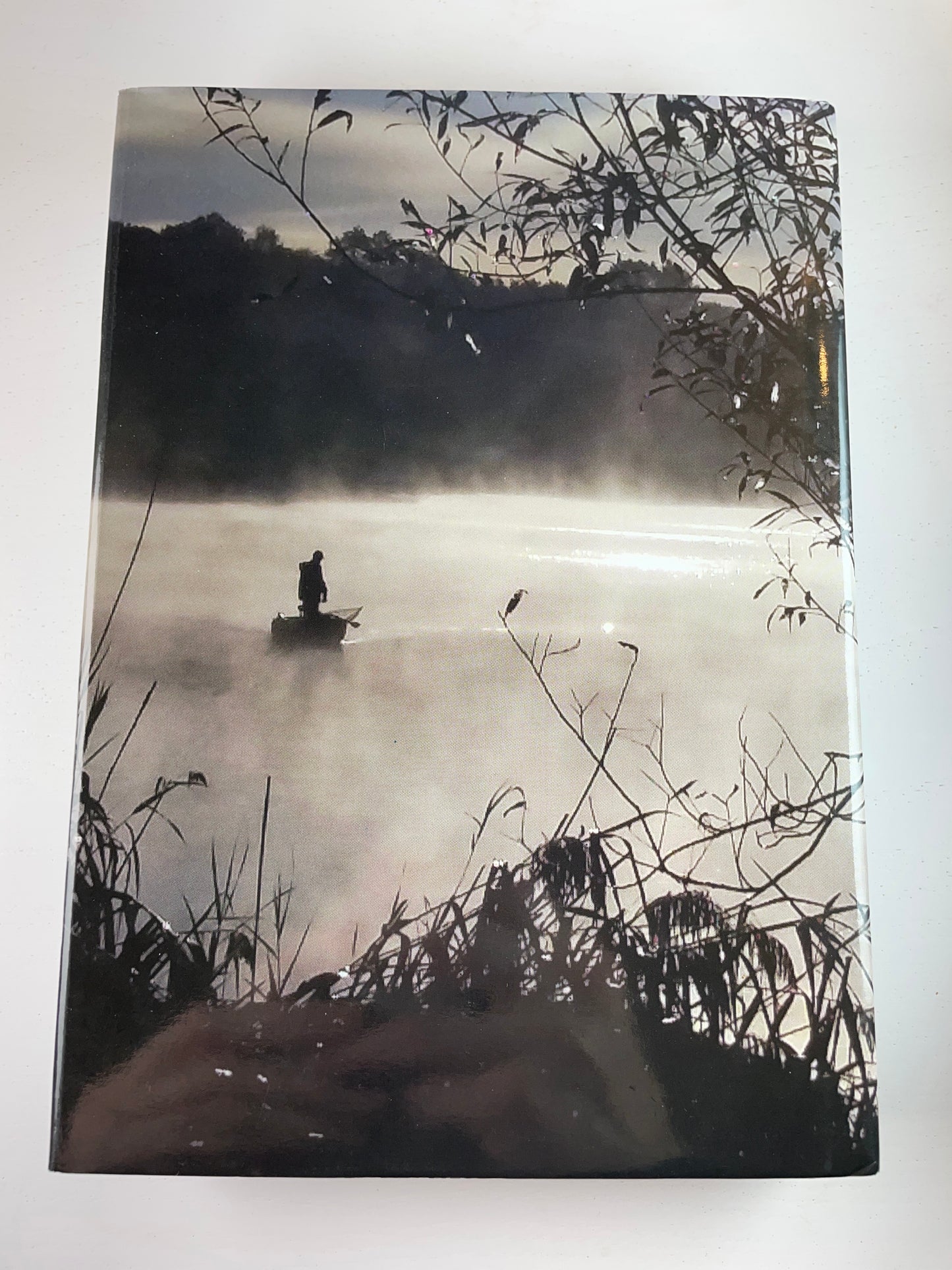 Get It On With The Don by Derek Ritchie. 2016. Carp Book.