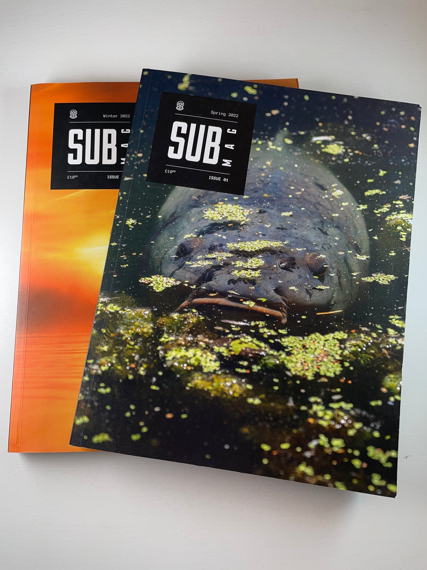 Subsurface Mags Issues 1 & 2. 2022. Carp Books.