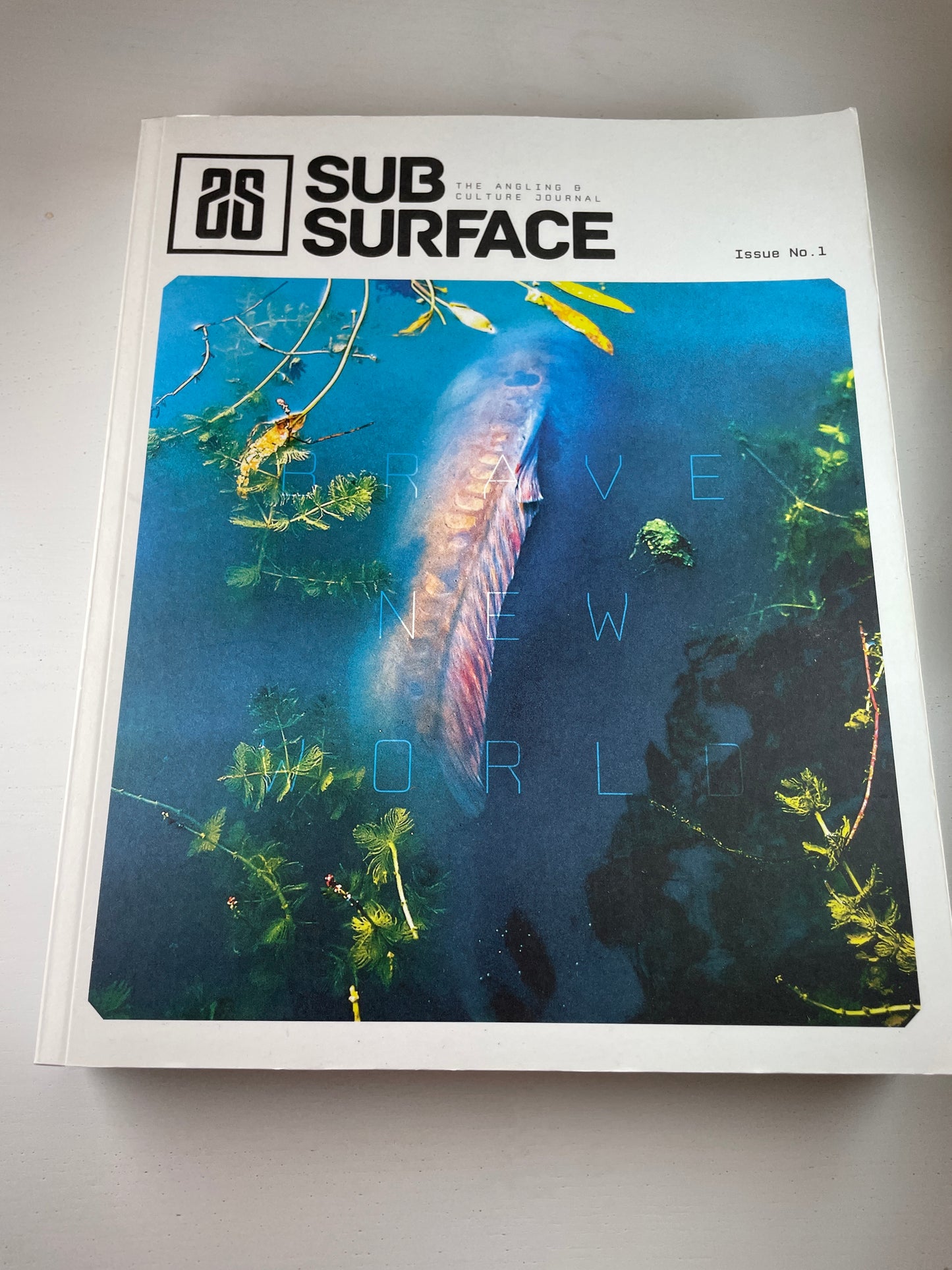 Sub Surface Issue No. 1. 2012. Carp Book.