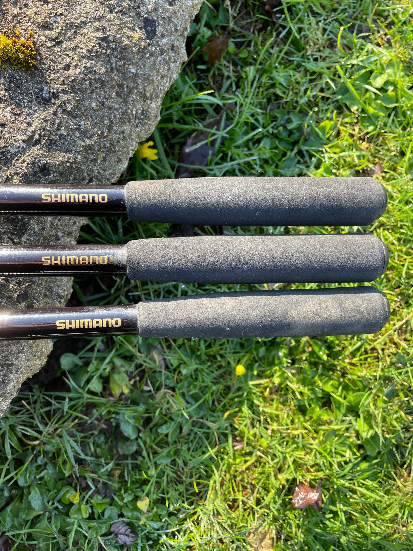 3 x Shimano Stradic Old School Carp Fishing Rods. 12’. 1.75lb T/C. Circa 1990s.