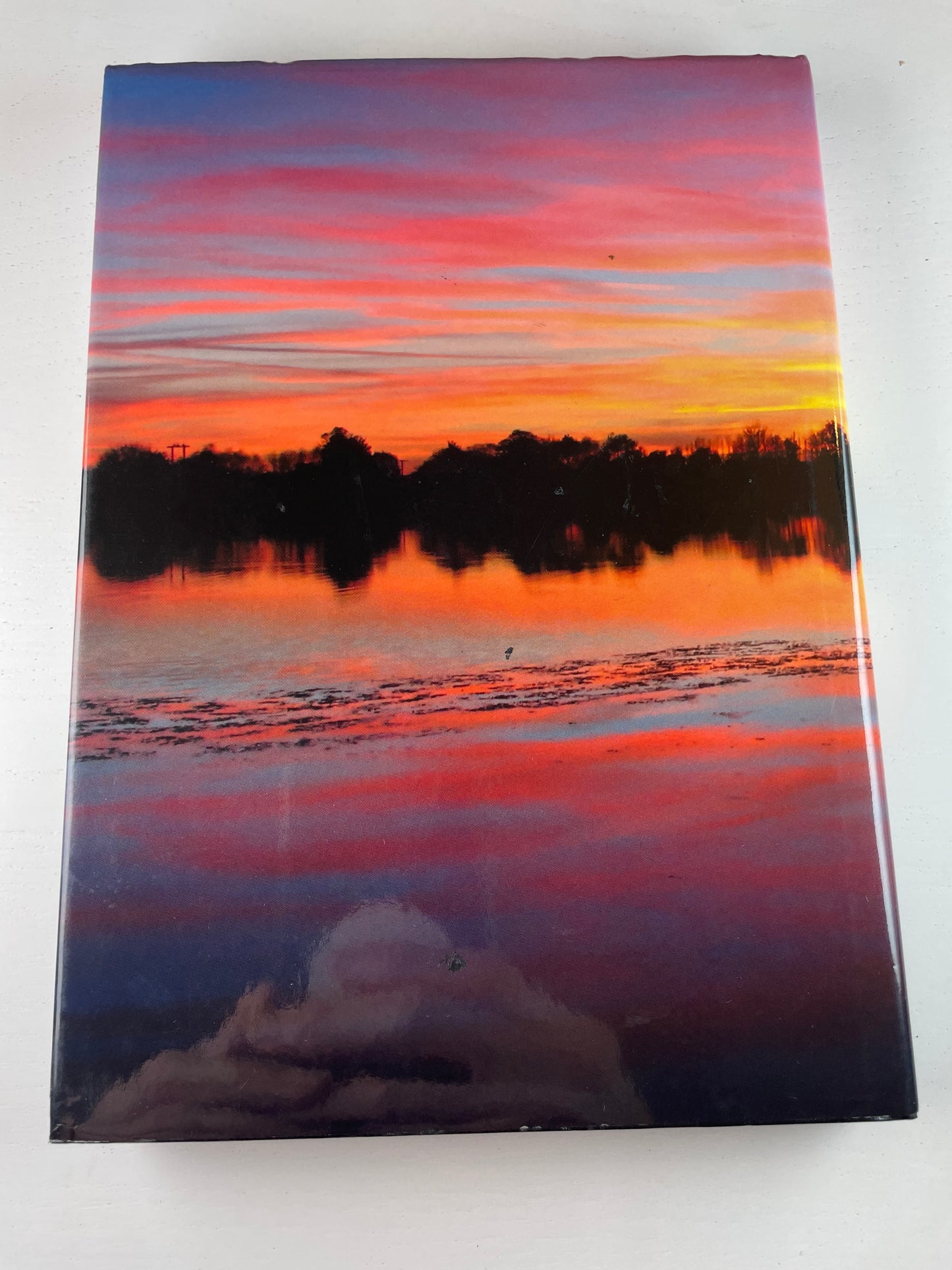 Essex Carp Hunters. Various. 2010. Carp Book.