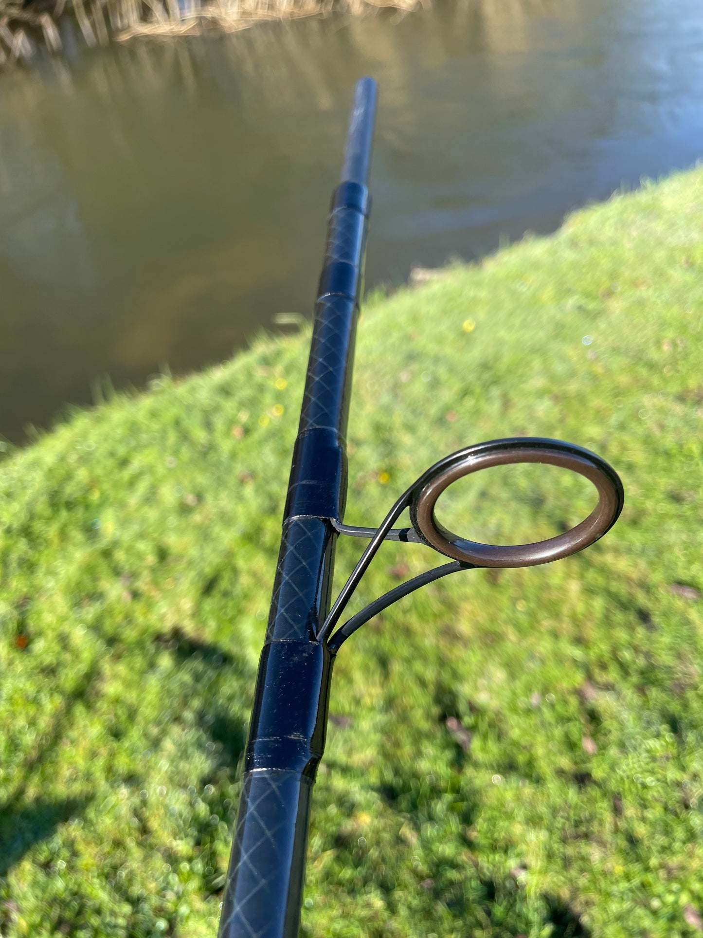 1 x Daiwa Dictator Z Amorphous Whisker Long Distance Old School Carp Fishing Rod 2.75lb T/C.