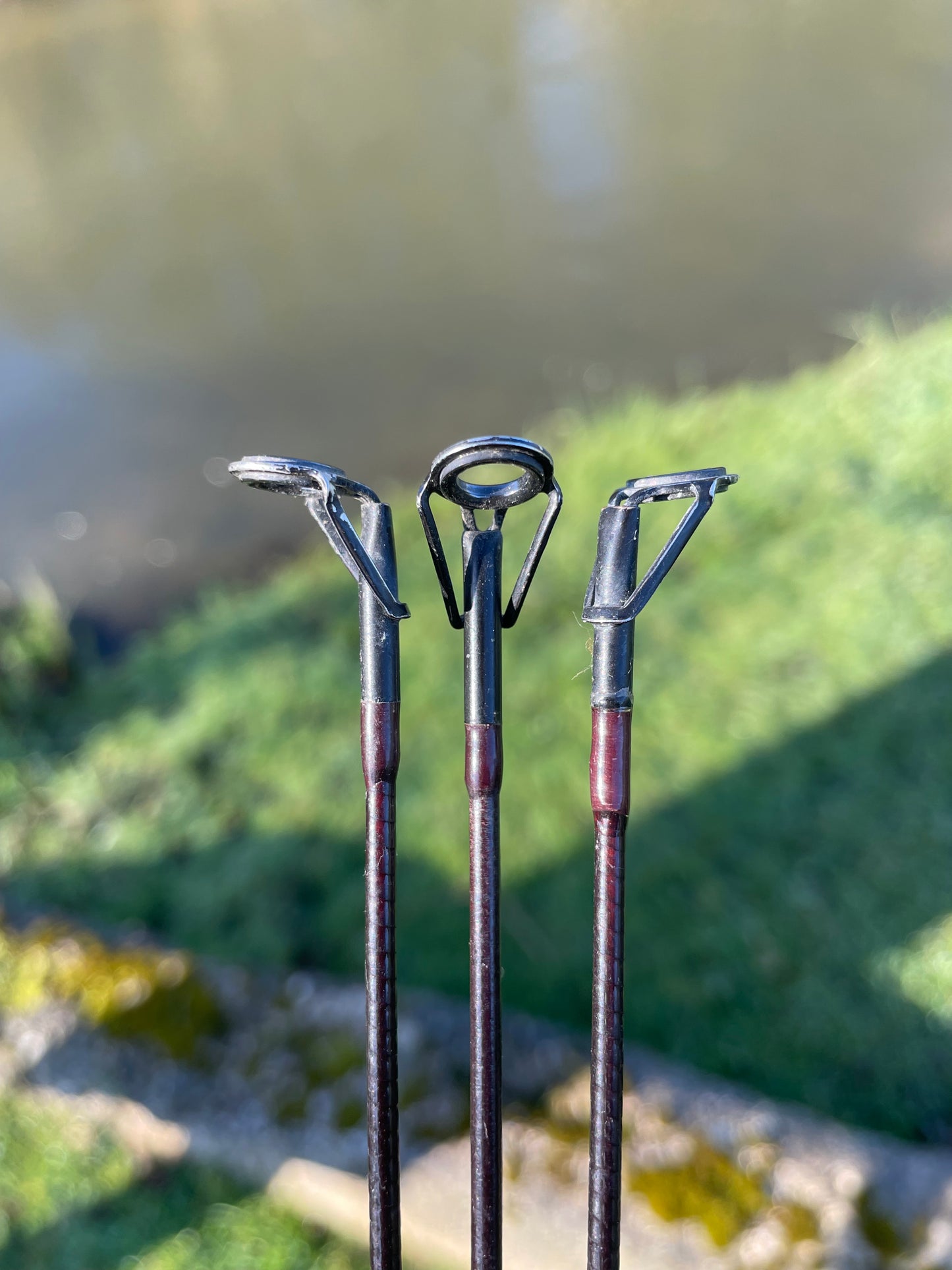 3 x Shimano Stradic Old School Carp Fishing Rods. 12’. 1.75lb T/C. Circa 1990s.