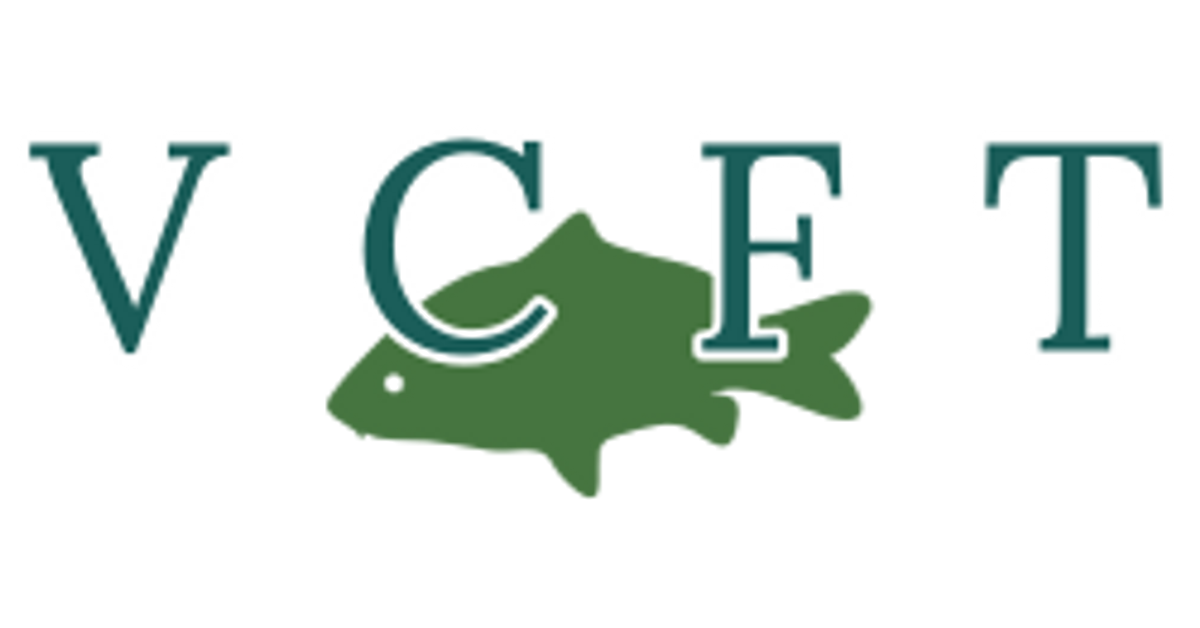 Collections vintage carp fishing tackle