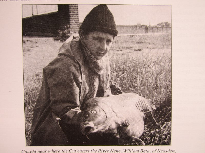 Historically Important Genuine Cased River Record Mirror Carp. 34lb 8oz.1965. Electricity Cut. River Nene.