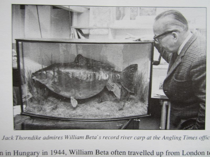 Historically Important Genuine Cased River Record Mirror Carp. 34lb 8oz.1965. Electricity Cut. River Nene.