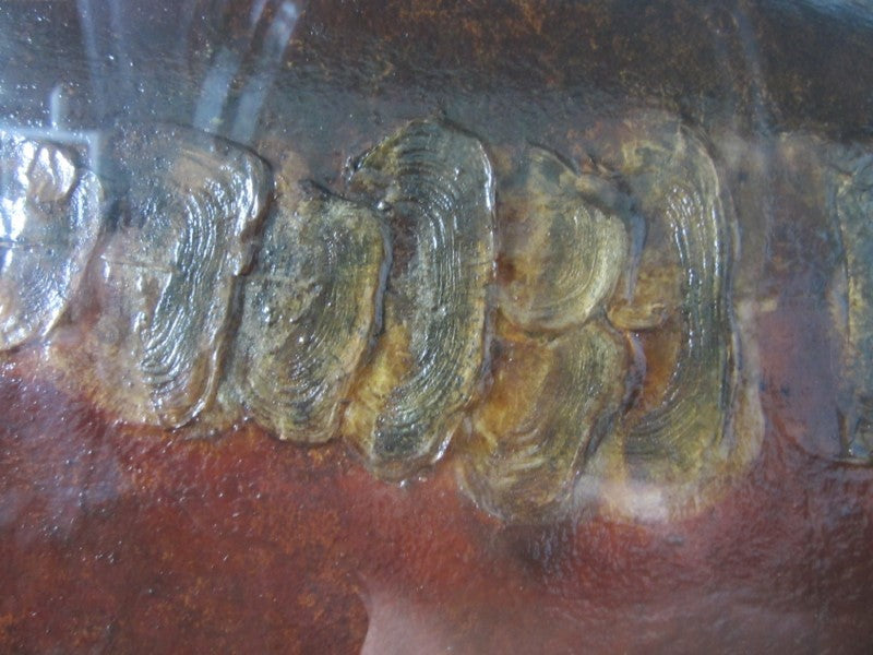 Historically Important Genuine Cased River Record Mirror Carp. 34lb 8oz.1965. Electricity Cut. River Nene.